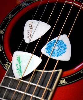 GC Guitar Picks for sale on official website.jpg